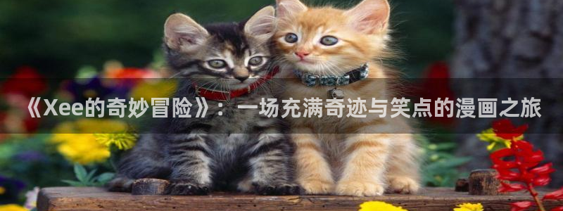 歪歪漫画免费首页