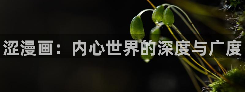 羞羞漫画韩国歪歪漫画：涩漫画：内心世界的深度与广度