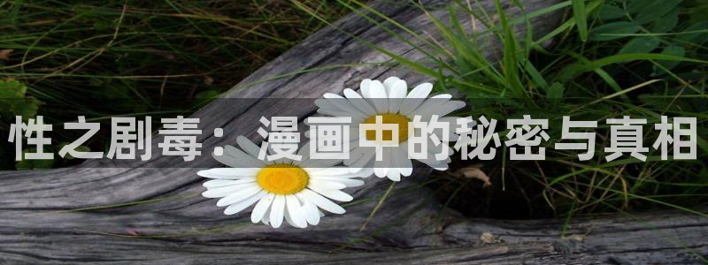 歪歪漫画免费版在线阅读：性之剧毒：漫画中的秘密与真相