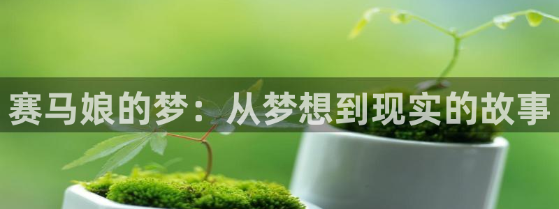 歪歪漫画在线看入口：赛马娘的梦：从梦想到现实的故事