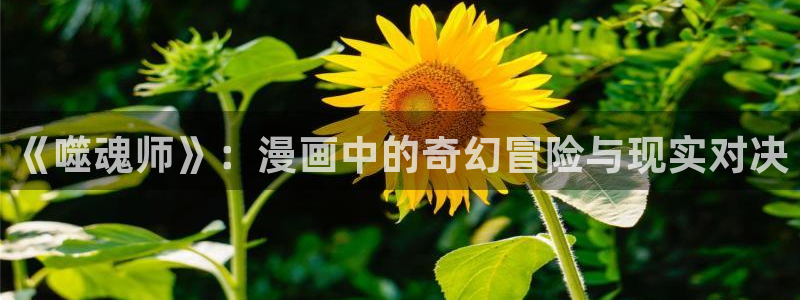 歪歪漫画漫画网站入口