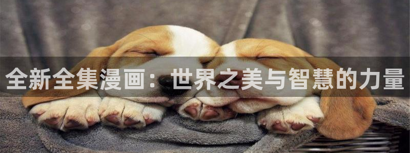 歪歪漫画在线官网