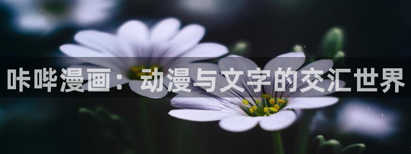 歪歪漫画首页进去