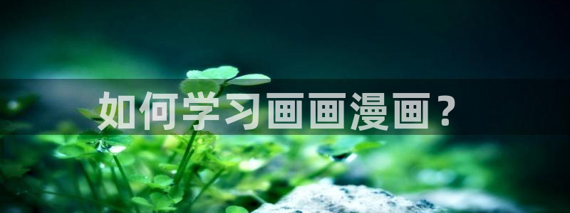 歪歪漫画免费阅读韩漫：如何学习画画漫画？