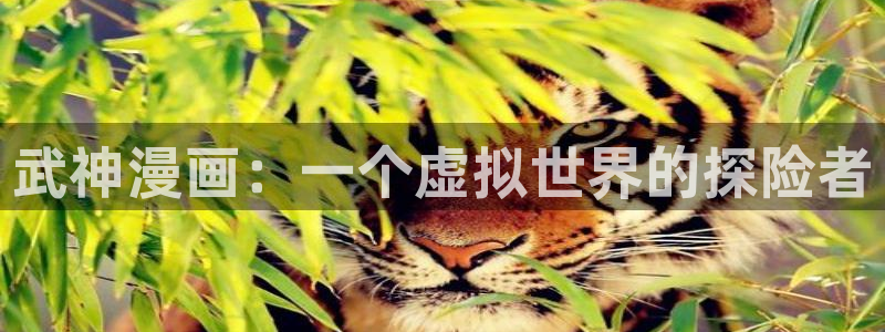 歪歪漫画在线阅读.：武神漫画：一个虚拟世界的探险者